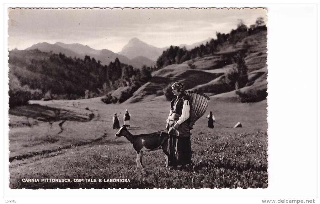 Italie Udine Carnia Pittoresca Ospitale E Laboriosa  Paysanne Berger Bergere Brebis Cachet Udine 1954 - Udine