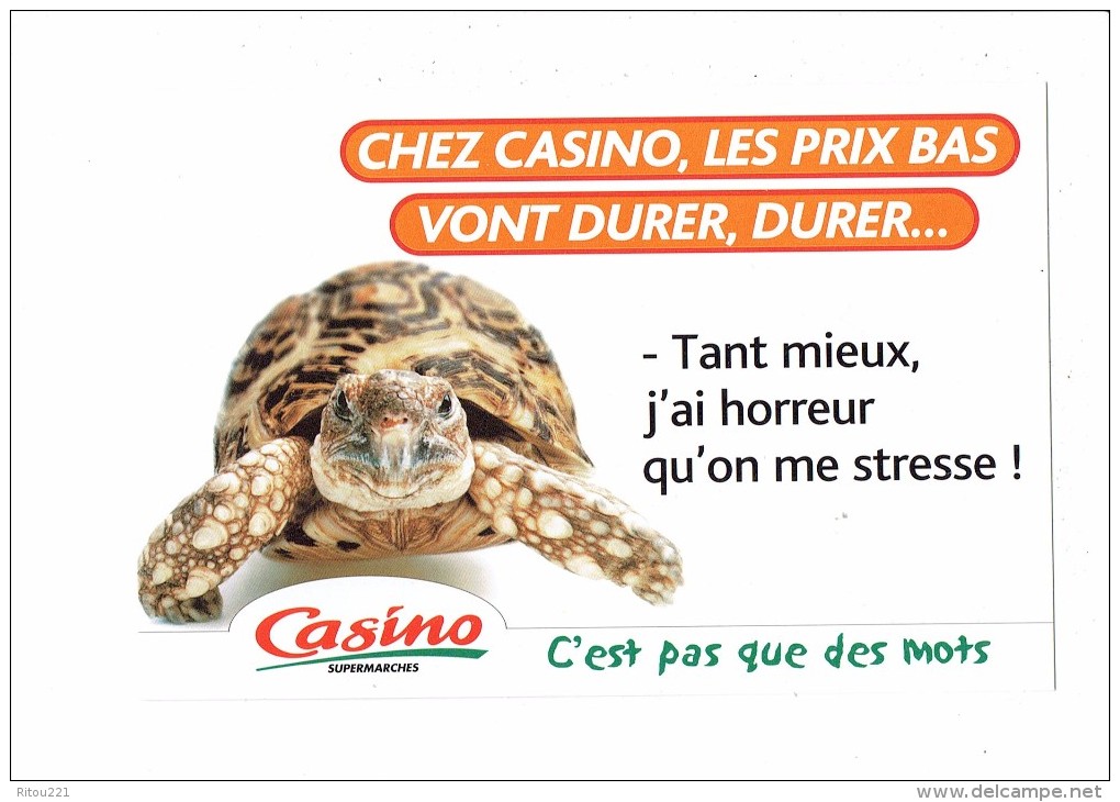 Cpm Publicité Magasin SUPERMARCHES CASINO - 2000 - Tortue Turtle - Turtles