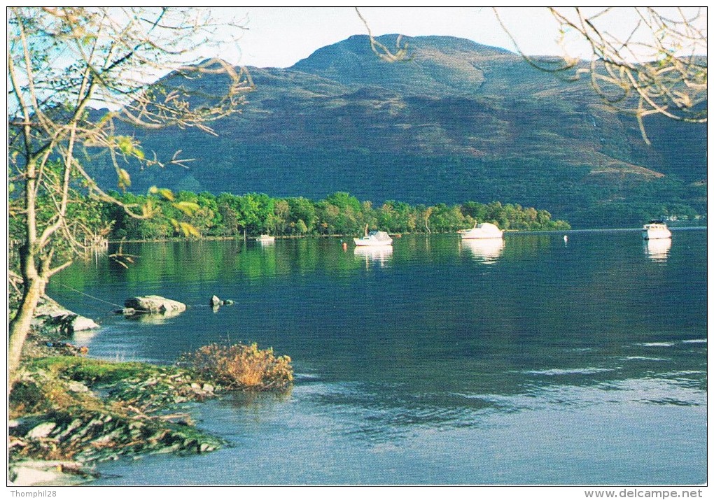 BEN LOMOND, DUNBARTONSHIRE - This Mountain Which Is Under The Care Of The National Trust For Scotland Rises Above The... - Dunbartonshire