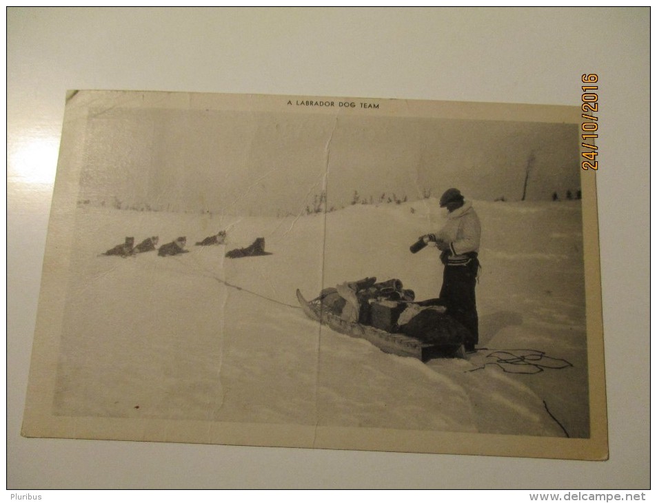 CANADA   LABRADOR  DOG TEAM , NEWFOUNDLAND  STAMP , AIRPORT LABRADOR TO USA , OLD  POSTCARD , 0 - Sonstige & Ohne Zuordnung