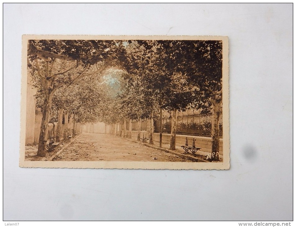 Carte Postale Ancienne : AIGUES-VIVES : L'Avenue - Aigues-Vives