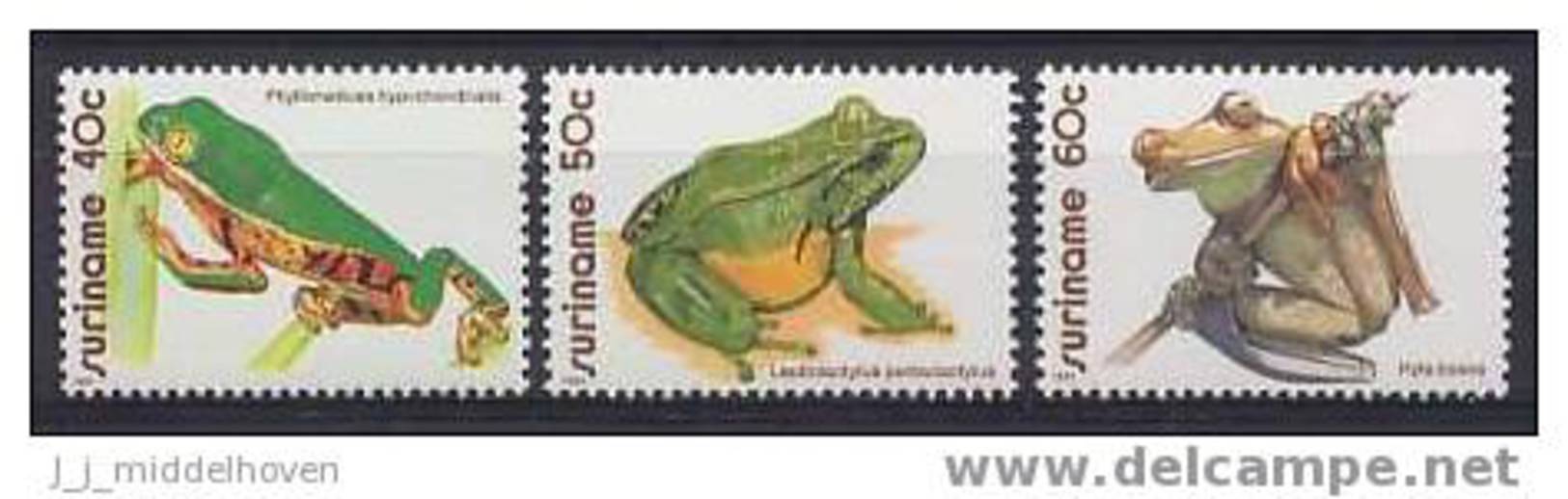Surinam Zonnebloem Catnr 259/261 Postfris (MNH, Neuf Sans Charniere) Frogs, Kikkers, Grenouille, Rana, Frosch, Ra - Frösche