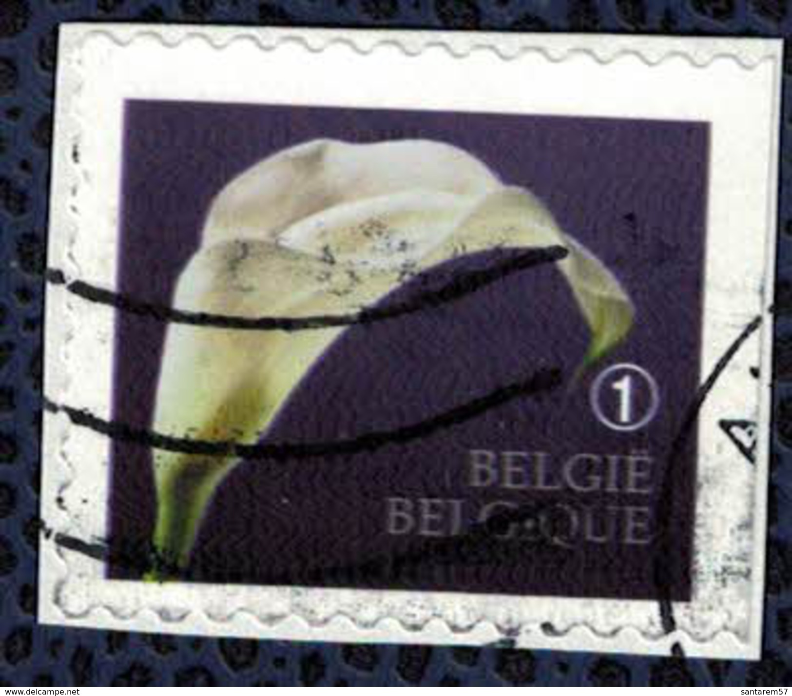 Belgique 2013 Oblitéré Used Représentation Symbolique Du Deuil Une Fleur Sur Fragment - Usados