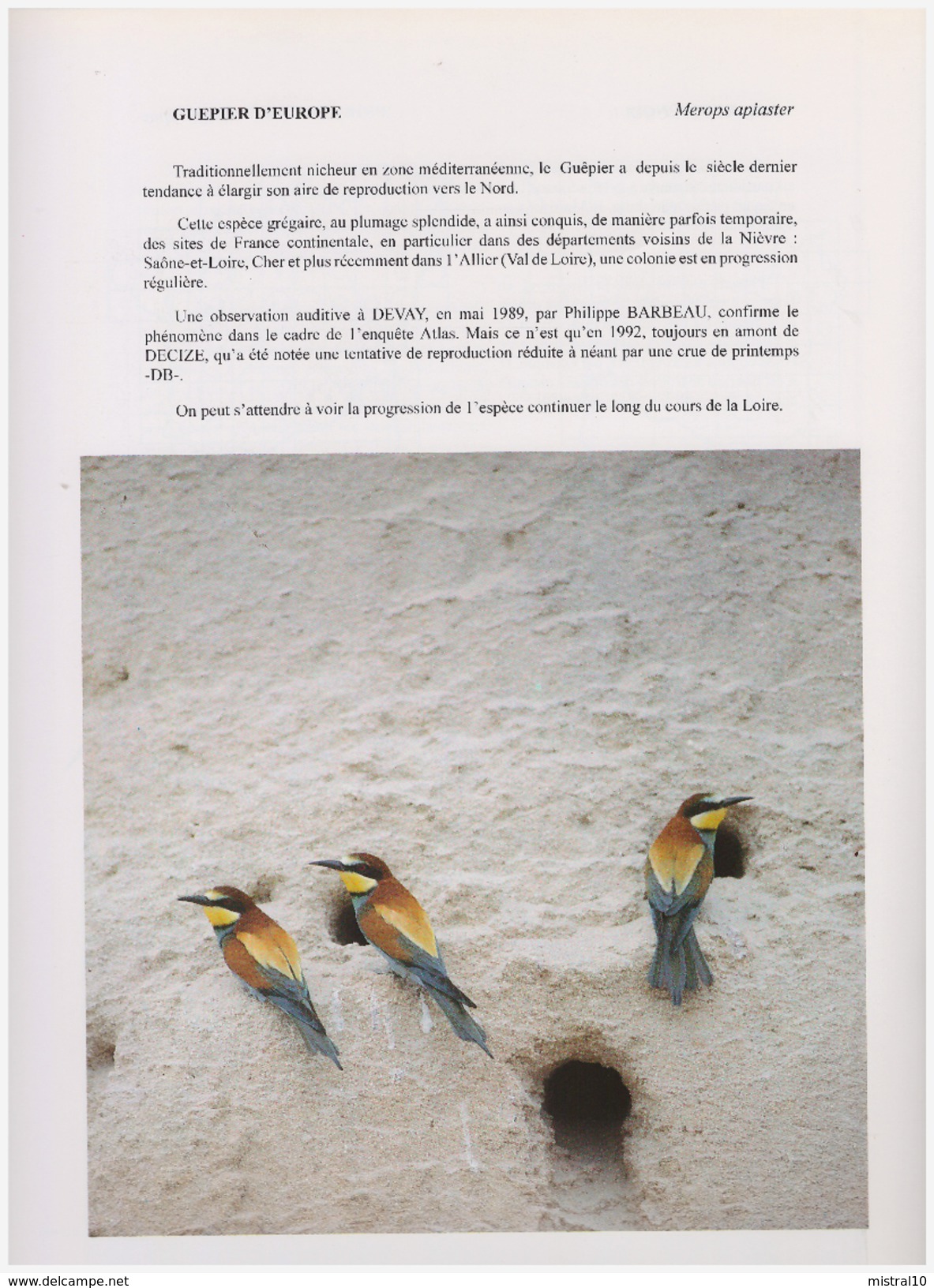 LES ANNALES DES PAYS NIVERNAIS. CAMOSINE. NIEVRE. N°78. Les Oiseaux Nicheurs De La Nièvre III - Bourgogne