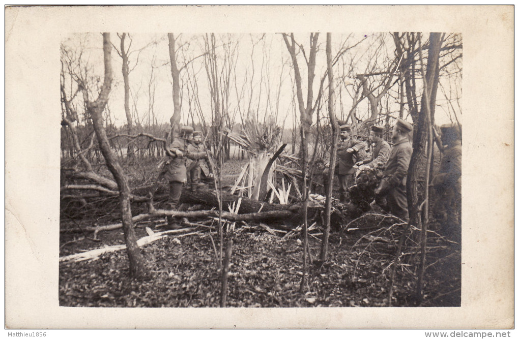 CP Photo Décembre 1914 Bois De LUTZELHOF (Cernay) - Un Arbre éclaté, Soldats Allemands (A156, Ww1, Wk 1) - Cernay