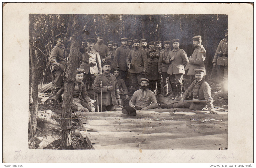 CP Photo Décembre 1914 Bois De LUTZELHOF (Cernay) - Construction D'un Abri (A156, Ww1, Wk 1) - Cernay