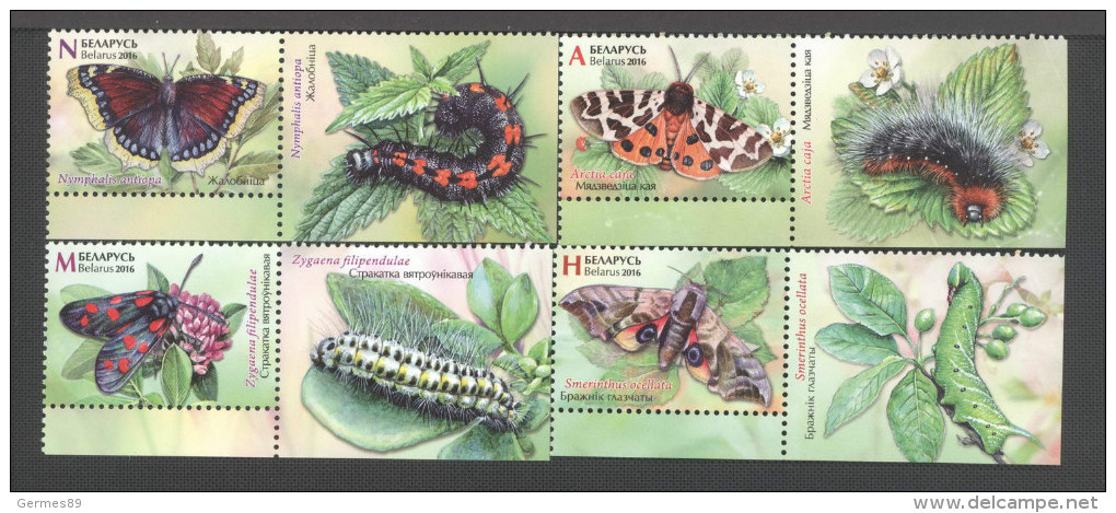 2016 Belarus. Butterfly, Butterflies, Caterpillar. 4 M With Coupon - Belarus