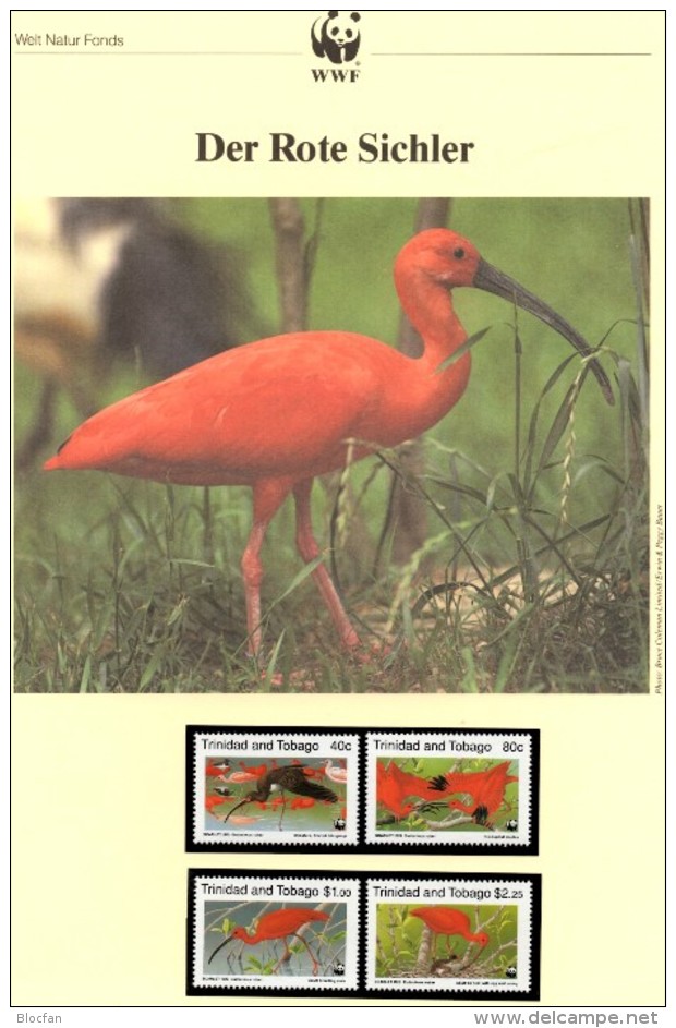 WWF-Set 101 Vögel Rote Sichler TRINIDAD 596/9 ** 15€ Naturschutz Dokumentation 1990 Wildlife Birds Stamp Fauna Of TOBAGO - Trinité & Tobago (1962-...)