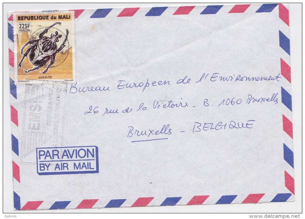 Mali - Enveloppe Timbrée Bamako - Air Mail Cover - Lettre Timbre Goliath Goliathus - Insect Stamp Letter - Sonstige & Ohne Zuordnung