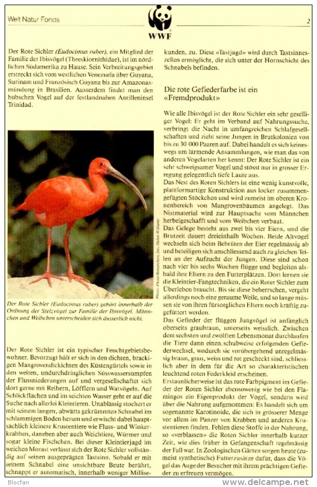 WWF-Set 101 Rotsichler TRINIDAD 596/9 **/FDC/MC 77€ Naturschutz Dokumentation 1990 Wildlife Birds Stamps Fauna Of TOBAGO - Flamingo