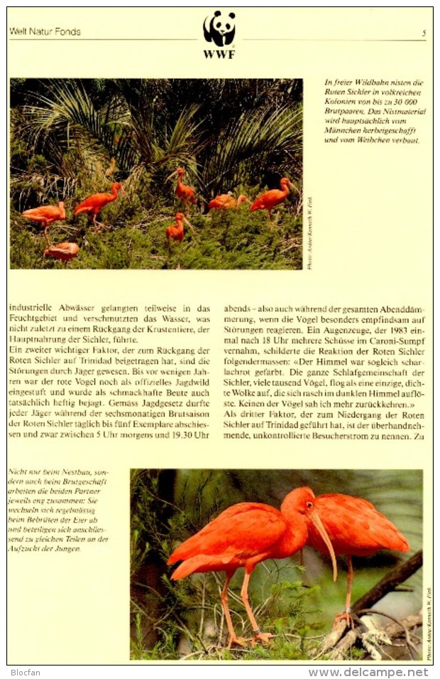 WWF-Set 101 Rotsichler TRINIDAD 596/9 **/FDC/MC 77€ Naturschutz Dokumentation 1990 wildlife birds stamps fauna of TOBAGO