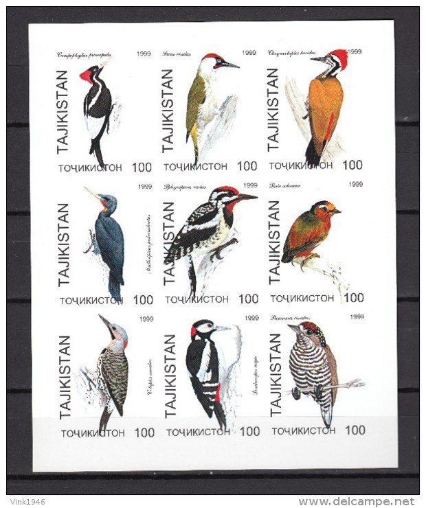 Tajikistan 1999,9V In Block, IMP,woodpeckers,spechten,spechte,birds,vogels,vögel,oiseaux,pajaros,MNH/Postfris(L2792) - Pics & Grimpeurs