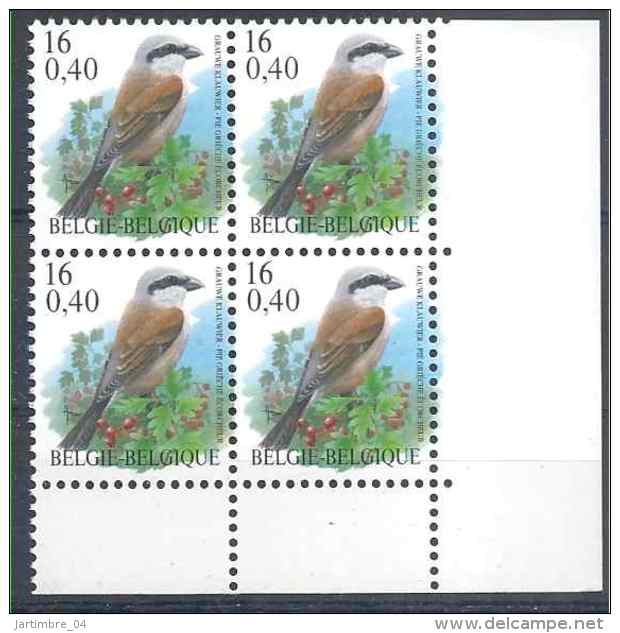 2000 BELGIQUE 2885** Oiseau Buzin, Pie Grièche, Bloc De 4 - Ungebraucht