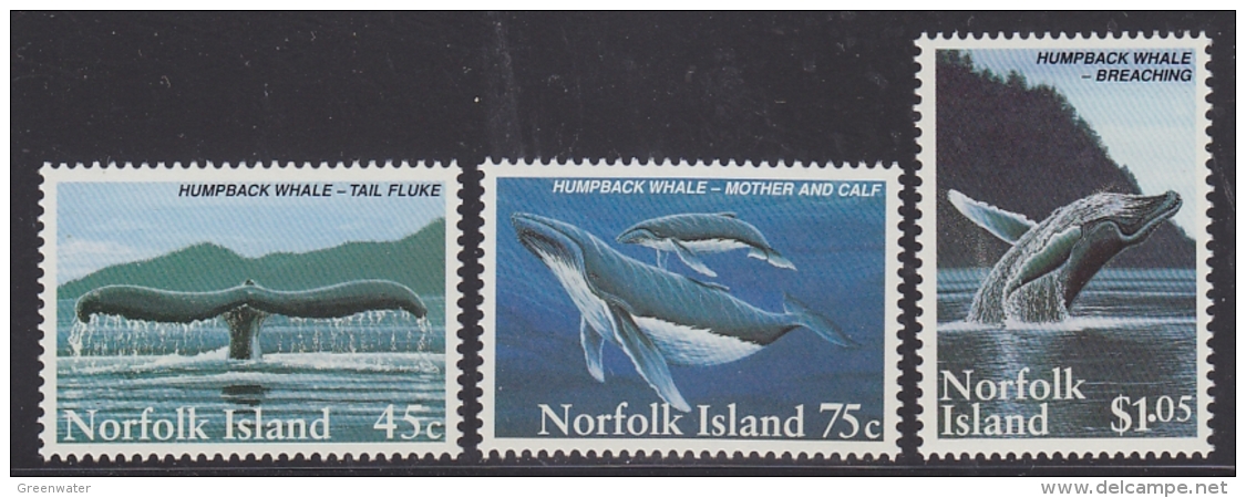 Norfolk Island 1995 Humpback Whales 3v  ** Mnh (33079) - Norfolk Eiland