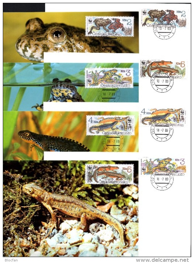 CSR WWF-Set 85 Amphibien Tschechoslowakei 3007/0 **/FDC/MC 29€ Naturschutz Molch Dokumentation 1989 Fauna Stamps Of CSSR - Collections, Lots & Series