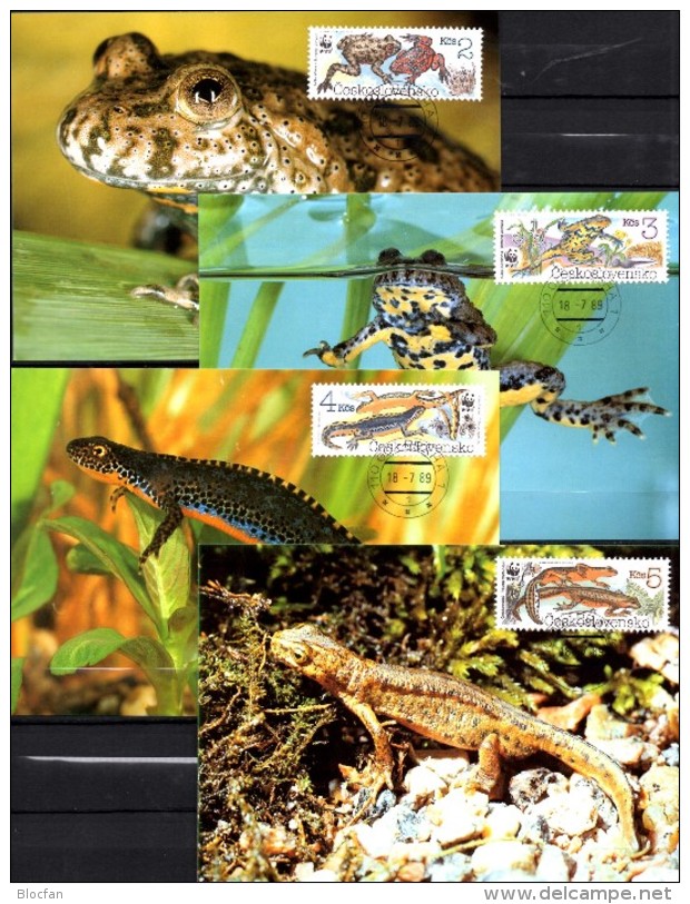 CSR WWF-Set 85 Amphibien Tschechoslowakei 3007/0 **/FDC/MC 29€ Naturschutz Molch Dokumentation 1989 fauna stamps of CSSR