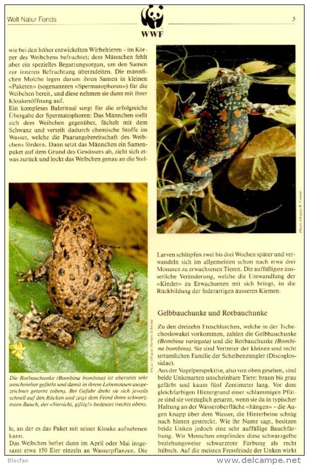 Molch CSSR WWF-Set 85 Amphibien Tschechoslowakei 3007/0 O 3€ Naturschutz Unke Dokumentation 1989 Wildlife Stamps Of CSR - Gebruikt