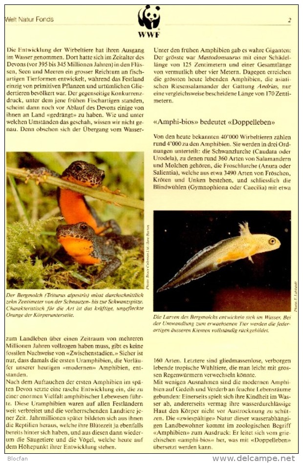 Tschechoslowakei WWF-Set 85 Amphibien CSR 3007/0 **/o/FDC/MKt.32€ Naturschutz Molch Dokumentation 1989 fauna stamps CSSR