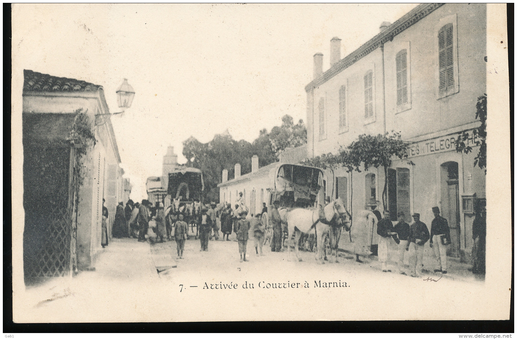 Algerie --  Arrivee Du Courrier A Marnia - Autres & Non Classés