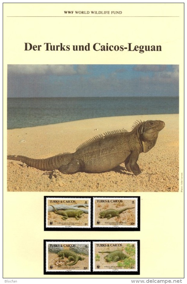 WWF-Set 42 Leguan Turks Caicos 777/0 ** 21€ Naturschutz Caicosleguan Dokumentation 1986 Wildlife Fauna Stamps Of America - Turcas Y Caicos