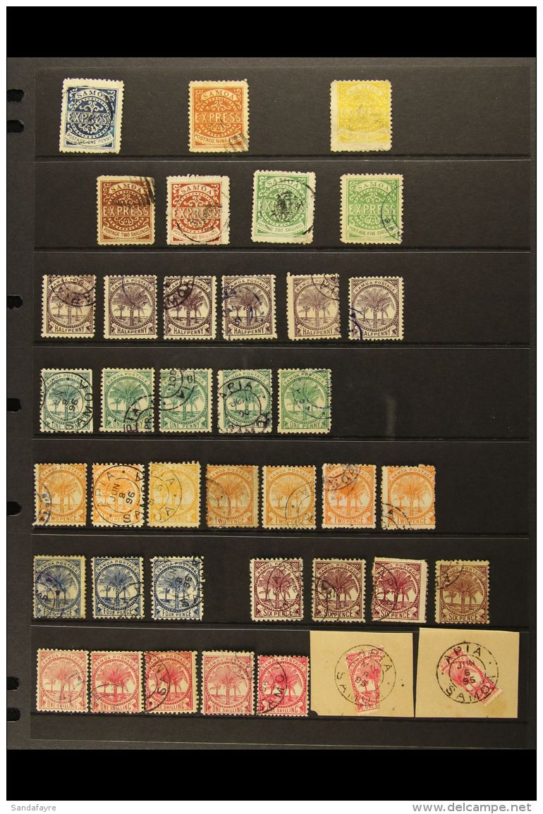 1877-1900 USED 19TH CENTURY SELECTION Presented On Stock Pages. Includes "Express" Ranges To 5s (reprints), "Palm... - Samoa