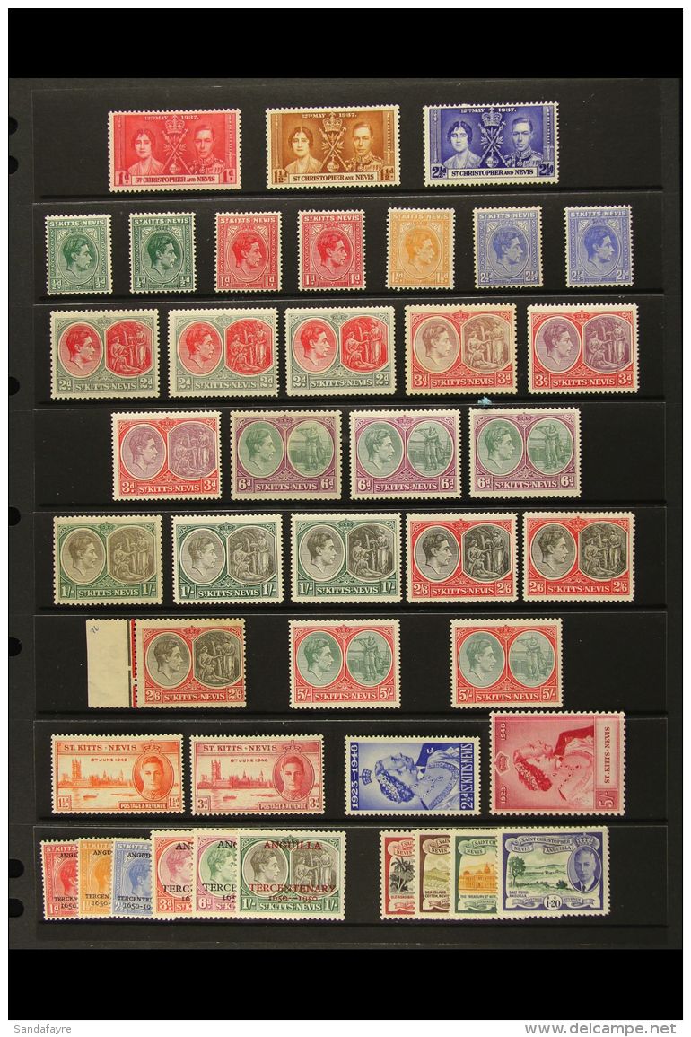 1937-50 MINT KGVI COLLECTION On A Stockpage. Includes 1937 Coronation Set, 1938-50 Definitives With Various Perfs... - St.Kitts And Nevis ( 1983-...)