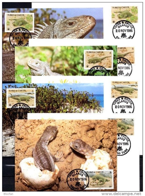 Schwanz-Leguan WWF-Set 42 Turks+Caicos 777/0 **/FDC/MKt.107€ Naturschutz Dokumentation 1986 Wildlife Fauna Stamp America - Briefe U. Dokumente