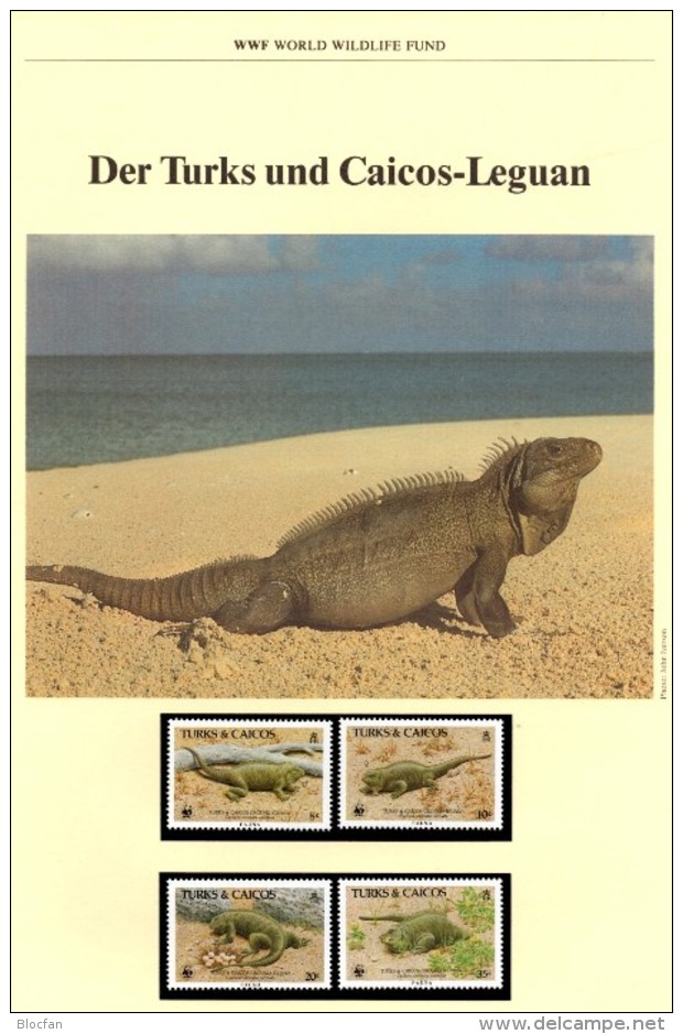 Schwanz-Leguan WWF-Set 42 Turks+Caicos 777/0 **/FDC/MKt.107€ Naturschutz Dokumentation 1986 Wildlife Fauna Stamp America - Briefe U. Dokumente