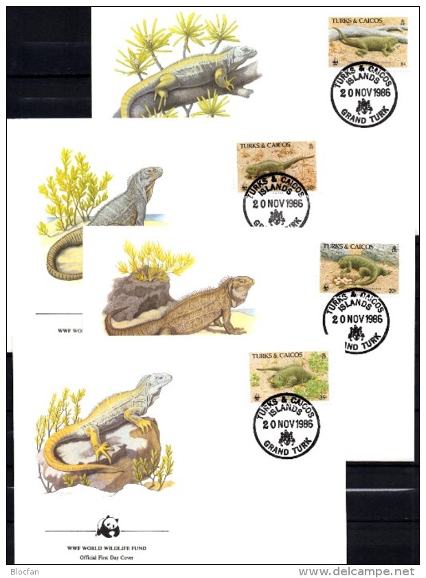 Schwanz-Leguan WWF-Set 42 Turks+Caicos 777/0 **/FDC/MKt.107€ Naturschutz Dokumentation 1986 Wildlife Fauna Stamp America - Briefe U. Dokumente