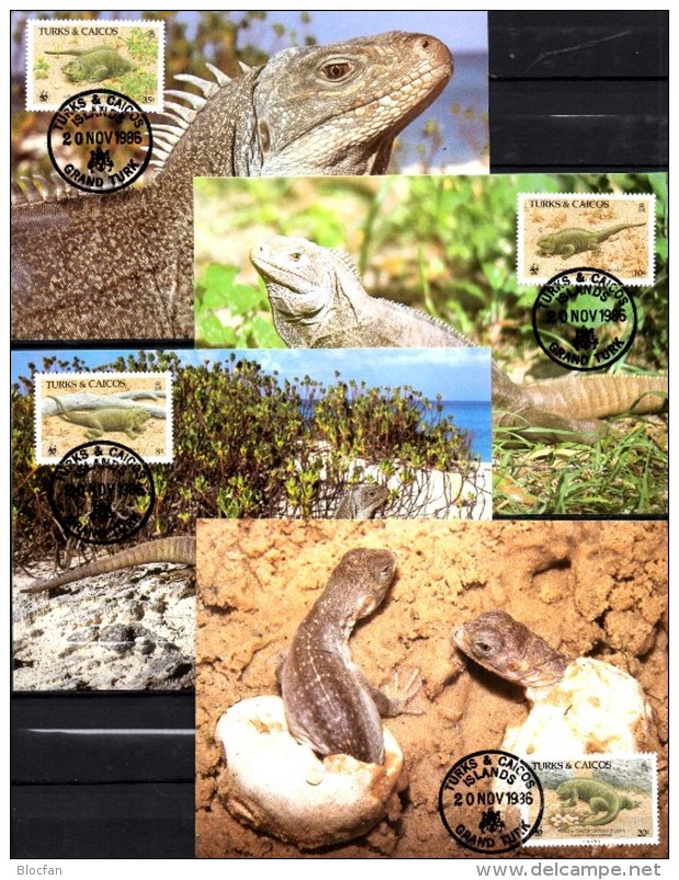 Schwanz-Leguan WWF-Set 42 Turks+Caicos 777/0 **/FDC/MKt.107€ Naturschutz Dokumentation 1986 wildlife fauna stamp America