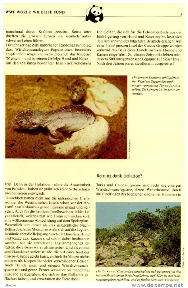 Schwanzleguane WWF-Set 42 Turks&Caicos 777/0 O 15€ Naturschutz Leguane Dokumentation 1986 Wild-life Fauna Stamps America - Used Stamps