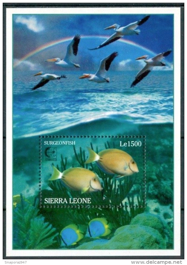 1995 Sierra Leone Pesci Fishes Poissons 2 Block MNH** RR1 - Sierra Leone (1961-...)