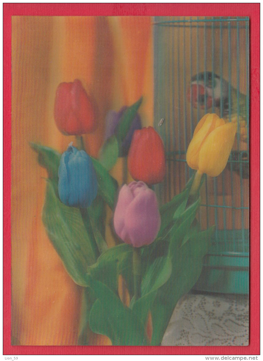 217483 / 3D STEREO Lenticular Picture Pc Flower TULIP Tulpen Tulipes Tulipa BIRD Parrots - Cartes Stéréoscopiques