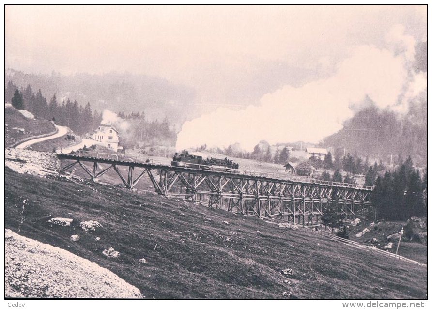 Chemin De Fer Lötschberg-Bahn En Construction, Train Sur L´Estacadede Schlossweid, Photo Retirage BVA BLS 168.1 - Ouvrages D'Art