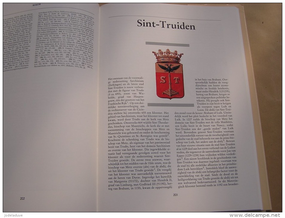 HISTORISCHE STEDEN IN LIMBURG Régionaal Belgïe Hasselt St Truiden Beringen Halen Stokkem Rekem Geschiedenis Cartografie