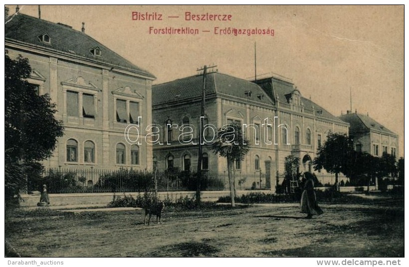 * T3 Beszterce, Bistritz, Bistrita; ErdÅ‘igazgatóság / Forestry Directorate, Verlag Haupt's... - Non Classés