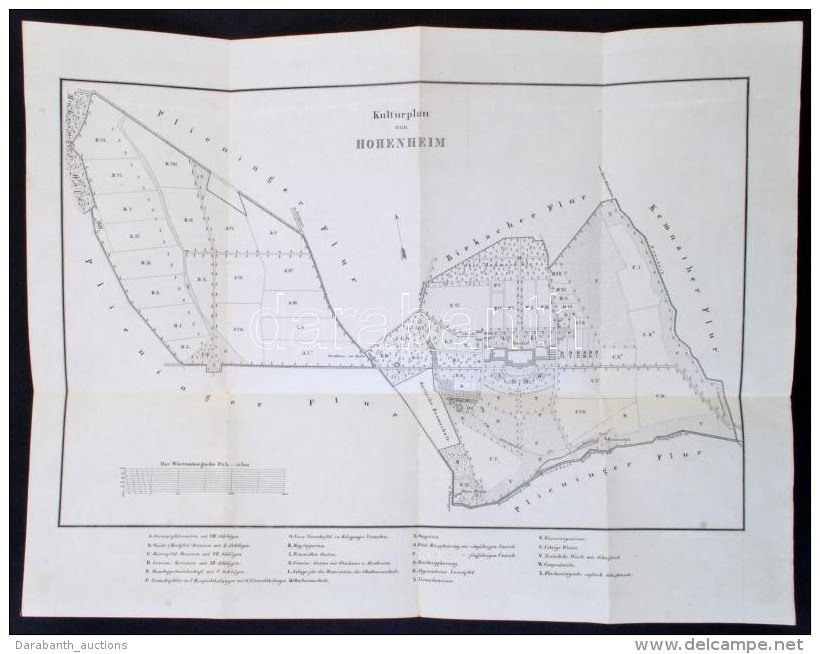 Cca 1840 Hohenheim Württemberg Térképe / Map Of Hohenheim 40x30 Cm - Autres & Non Classés