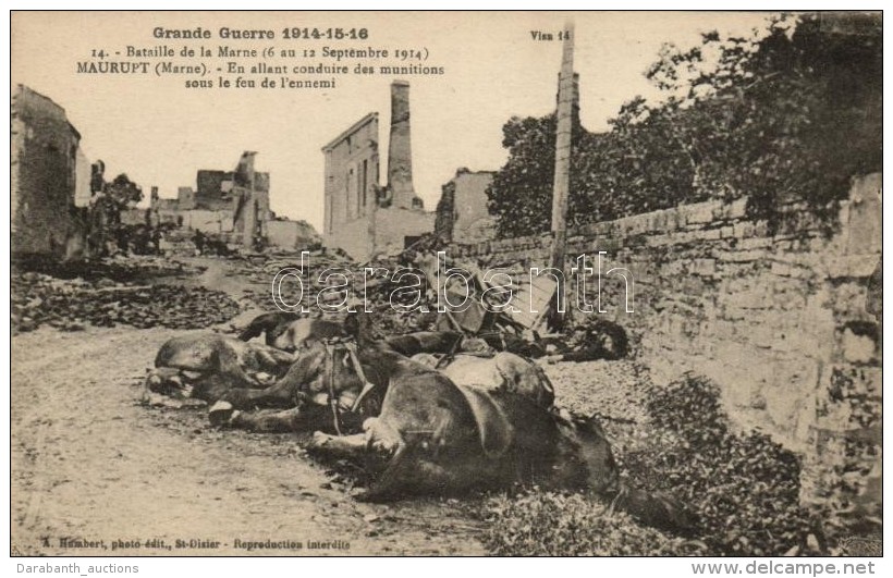 * T1/T2 Maurupt; Bataille De La Marne / War Damaged City - Non Classés