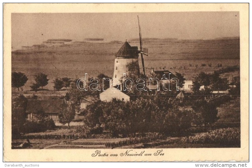 * T2/T3 Nezsider, Neusiedl Am See; Látkép, Malom, Heinrich Amon Kiadása / General View, Mill... - Non Classés