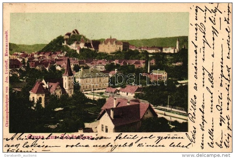 T2 Segesvár, Sighisoara; Látkép, Kiadja Jos. Drotleff / General View - Non Classés