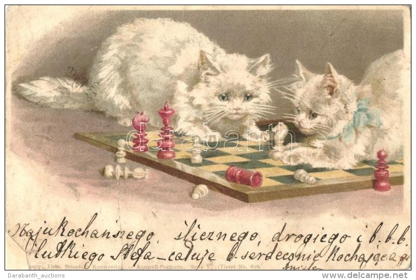 * T4 Cats Playing With Chess, Theo. Stroefen Kunstverlag Serie V. No. 606. Litho (r) - Non Classés