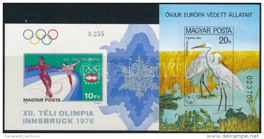 ** 1975-1980 Téli Olimpia, Innsbruck és Madarak Vágott Blokk (9.000) - Autres & Non Classés