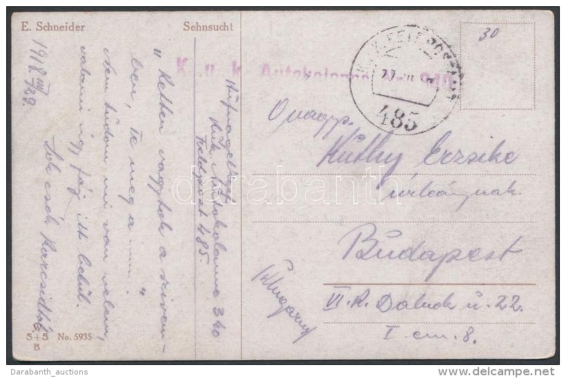 1918 Tábori Posta Képeslap / Field Postcard 'K.u.k. Autokolonne Nr. 340.' + 'FP 485' - Autres & Non Classés