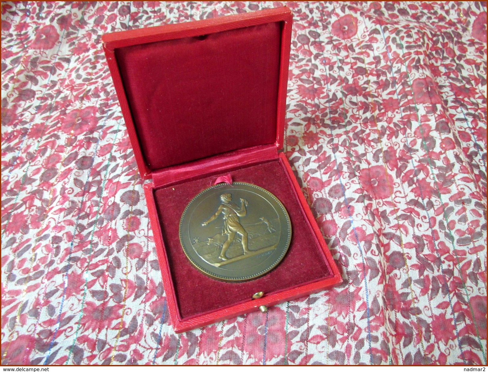 Grande Médaille Agriculture Semeur Lagrange Bronze Et Son Coffret Voir Photos 57 Mm TBE - Professionnels / De Société