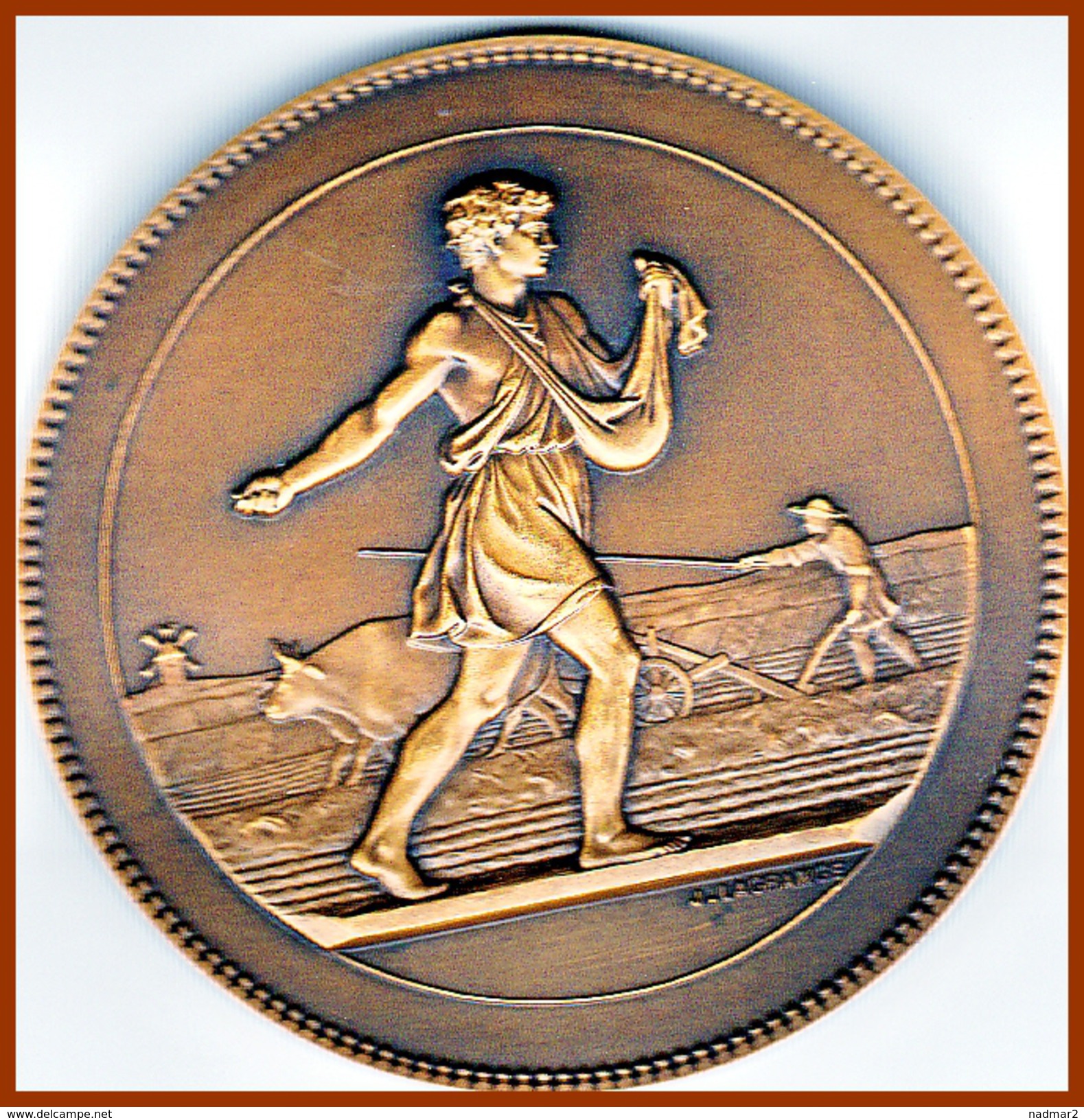 Grande Médaille Agriculture Semeur Lagrange Bronze Et Son Coffret Voir Photos 57 Mm TBE - Professionnels / De Société