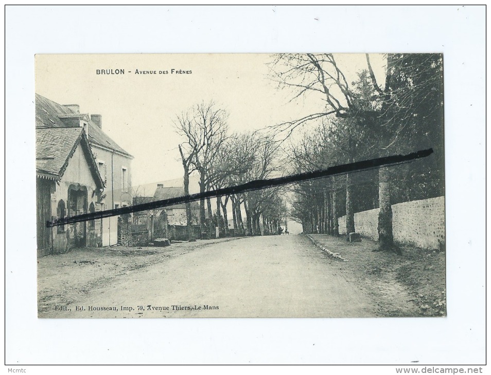 CPA  -  Brulon  -  Avenue Des Frênes - Brulon