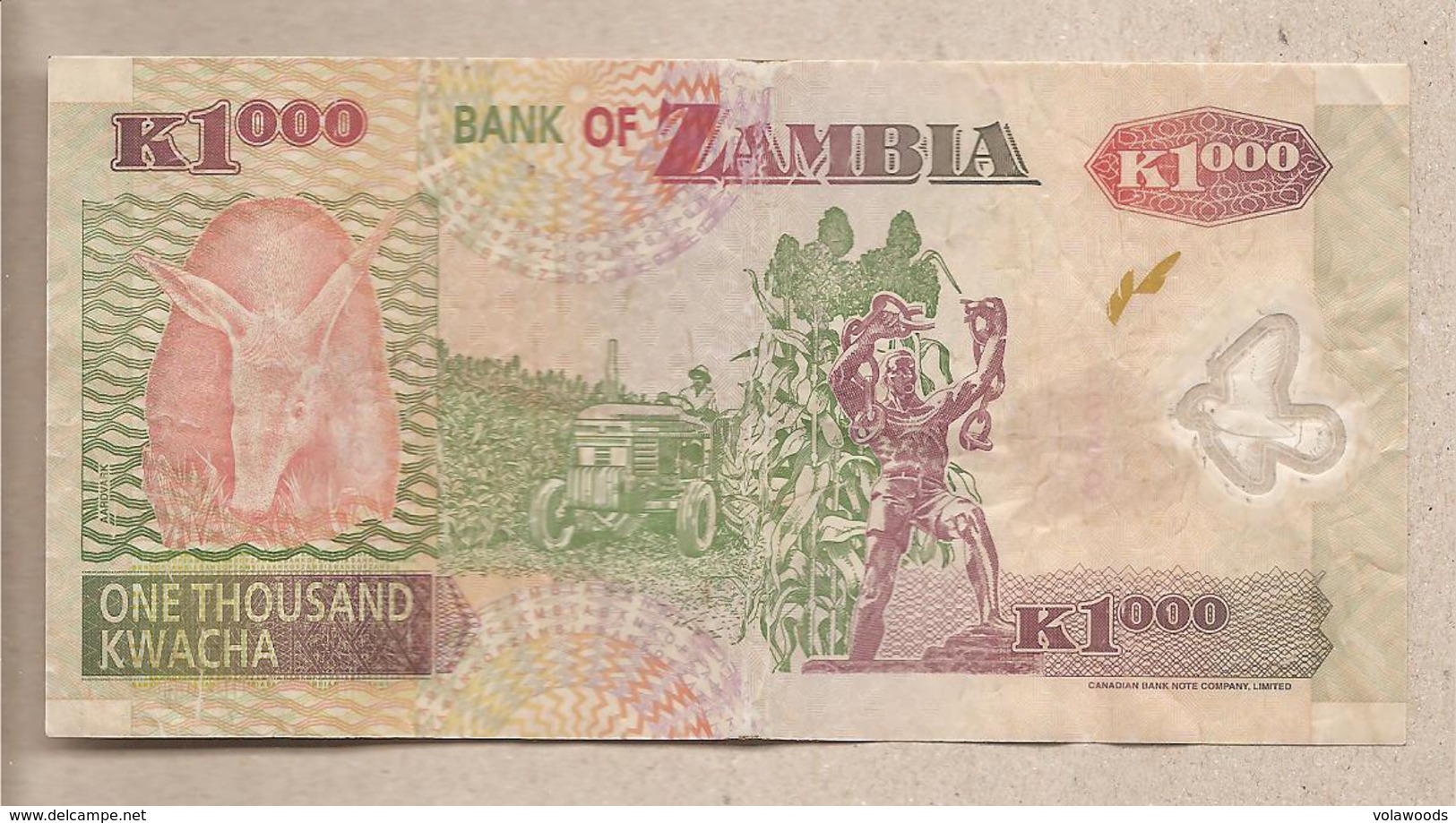 Zambia - Banconota Circolata Da 1000 Kwacha - 2006 - Polimero - Zambia