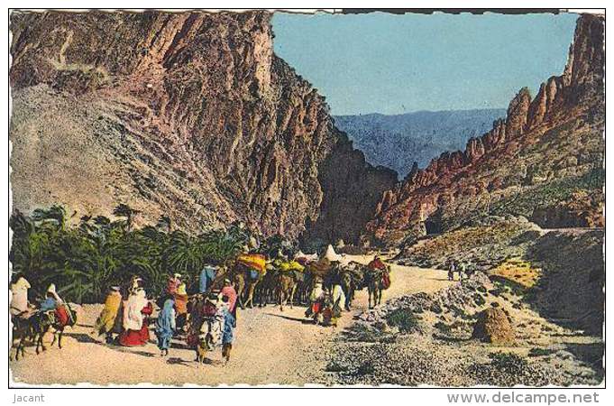 Les Gorges D' El Kantara - Scene & Tipi