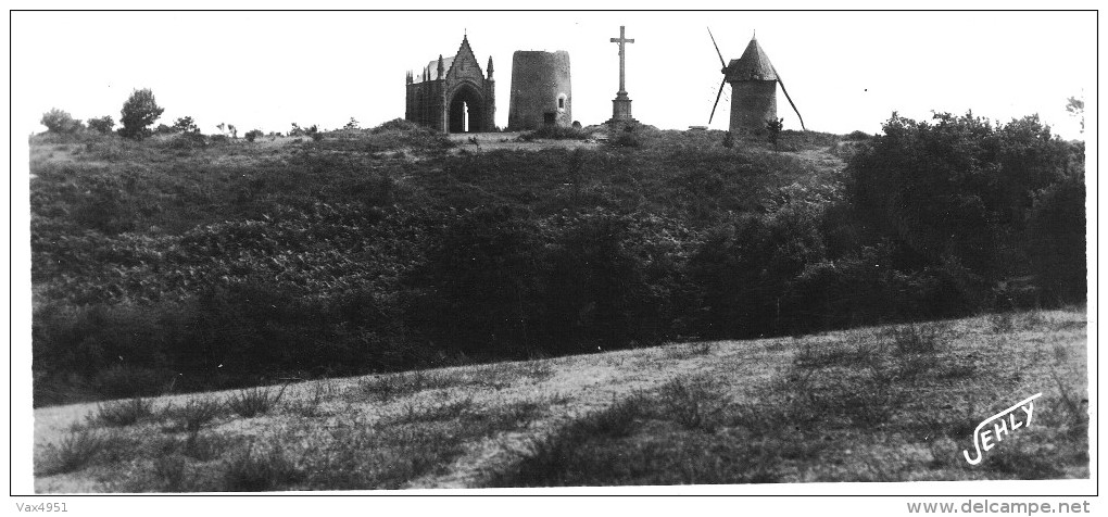 N  LES HERBIERS  PAYSAGE AU MONT DES ALOUETTES  **  A  SAISIR *** - Les Herbiers