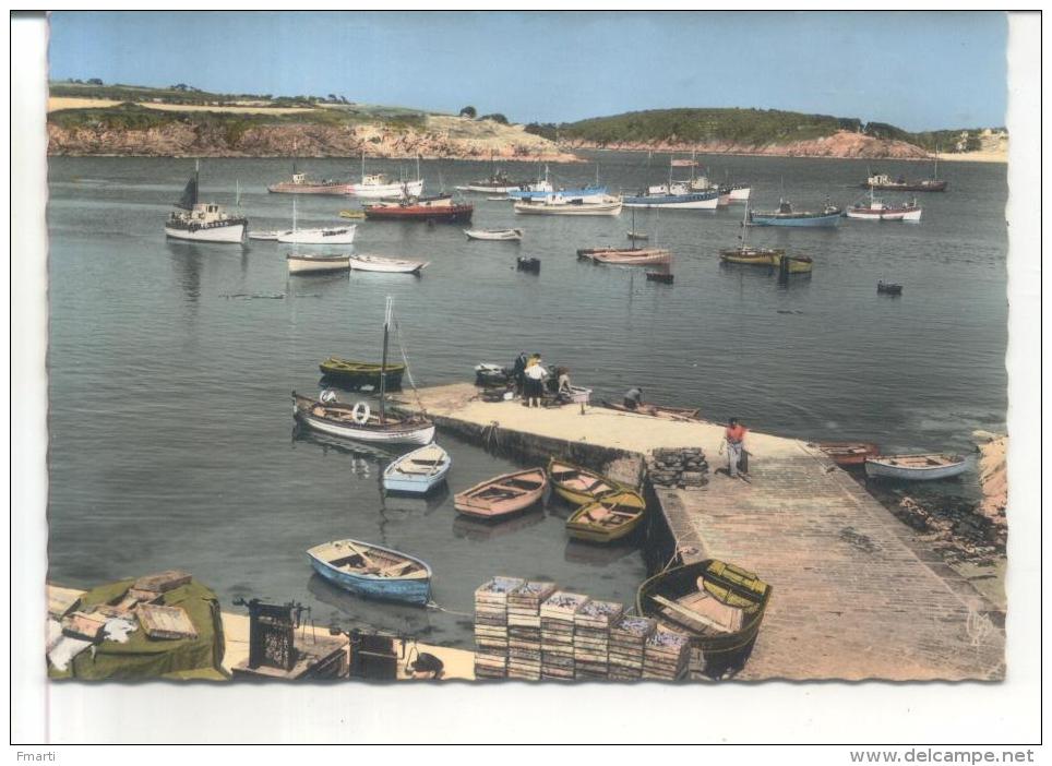 28. Port Manech, Les Sardiniers Au Mouillage Dans Le Port - Autres & Non Classés